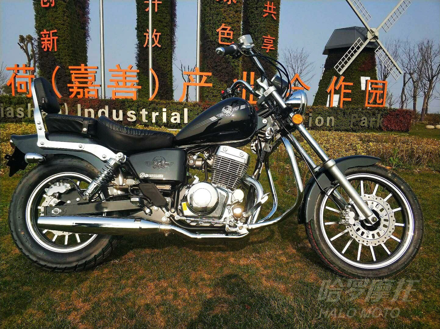 ���ӥ��+DD250E-5D